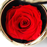 Preserved Fresh Real Eternity Rose Flower For Gift On Valentine Day, Anniversary, Birthday, Mother'S Day, Christmas (Pink)