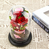 Forever Flowers Real Eternal Roses Preserved Flowers Gift With Led Mood Lights For Valentine'S Day Birthday Anniversary, Elegant Present For Girlfriend Wife Mom Women (Grande Red)