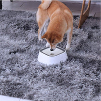 Non Spill Pet Dog Water Bowl Detachable Cat Slow Drinking Bowl w/ Waterproof Mat