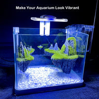 Aquarium Fish Tank Curved Glass RGB LED Light Complete Set Filter Pump 8 L