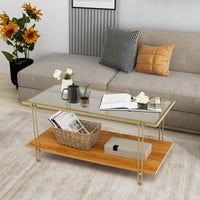 Coffee Table Rectangle Glass Top Wood Bottom Storage Shelf Gold Steel