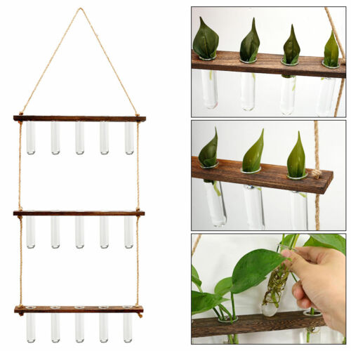 3 Tier Wall Hanging Planter With 15 Test Tube Stand
